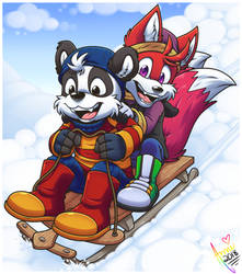 Sledding Fun -- COMM