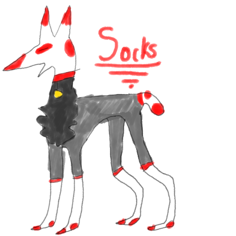 Socks