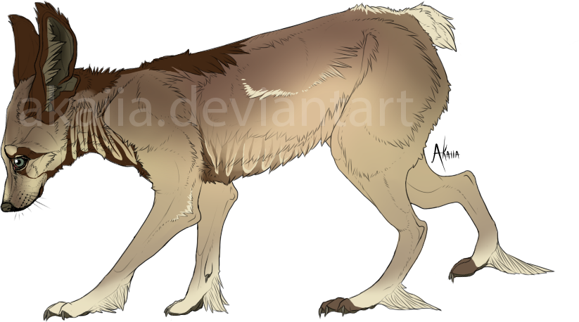 Canine/Fenec Foxyish Adoptable 2 [CLOSED]