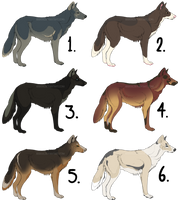 Canine Adoptables [CLEARING] 1$ (OPEN)