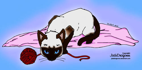 Siamese Cat Colored