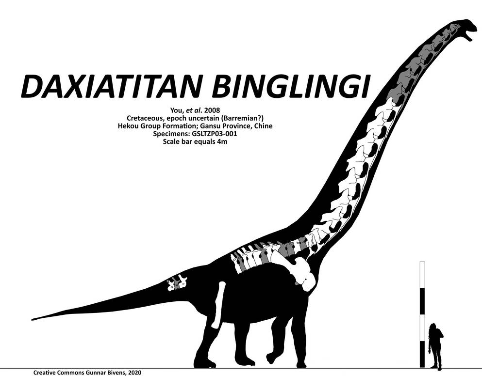 Daxiatitan binglingi Skeletal by GunnarBivens on DeviantArt