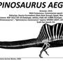 Spinosaurus aegyptiacus Skeletal