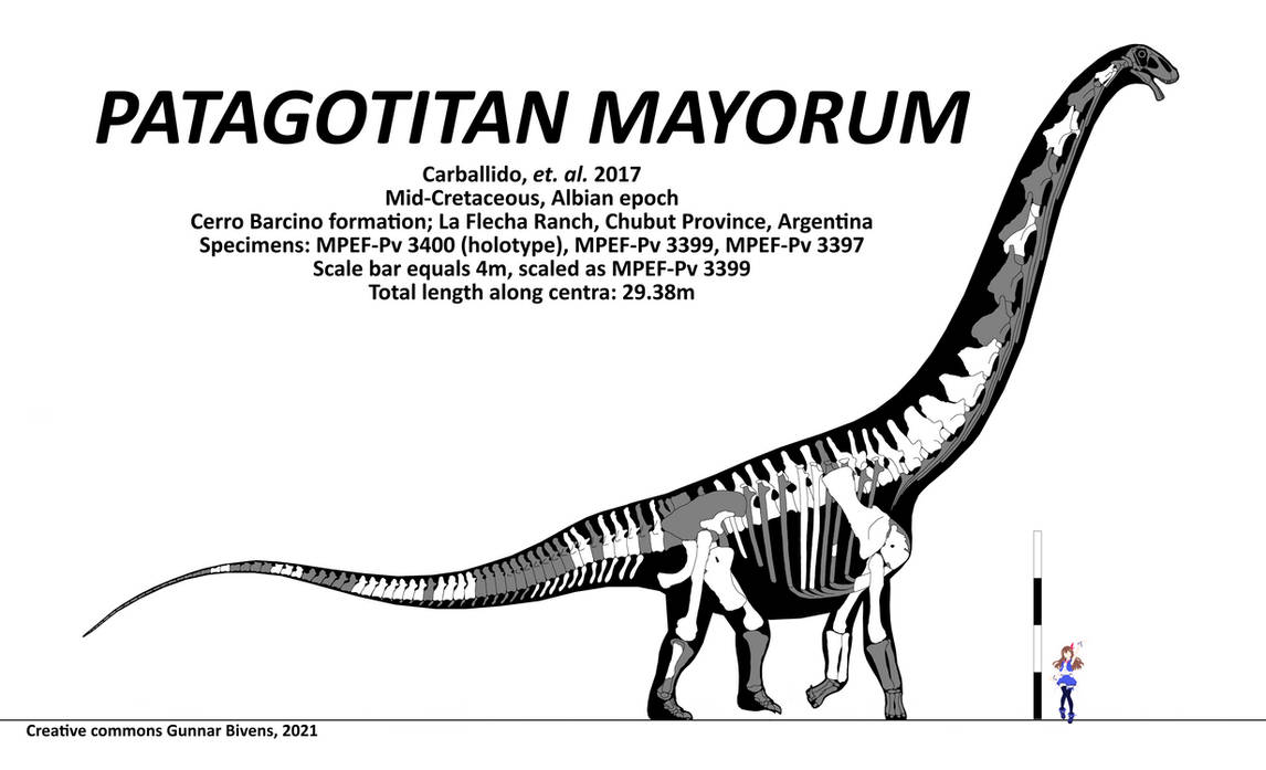 Patagotitan Mayorum Skeletal By GunnarBivens On DeviantArt patagotitan-mayorum-skeletal-by-gunnarbivens-on-deviantart