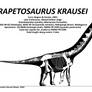 Rapetosaurus krausei Skeletal