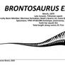 Brontosaurus excelsus Skeletal