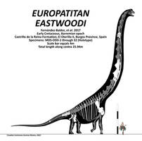 Europatitan eastwoodi Skeletal