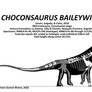 Choconsaurus bayleywilisi Skeletal