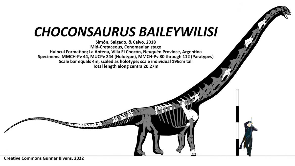 Choconsaurus bayleywilisi Skeletal by GunnarBivens on DeviantArt