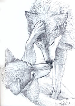 Wolves sketch