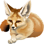 Fennec Fox by silvercrossfox