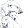 Polar Bear sketch