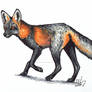 Cross Fox