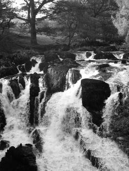 Swallow Falls