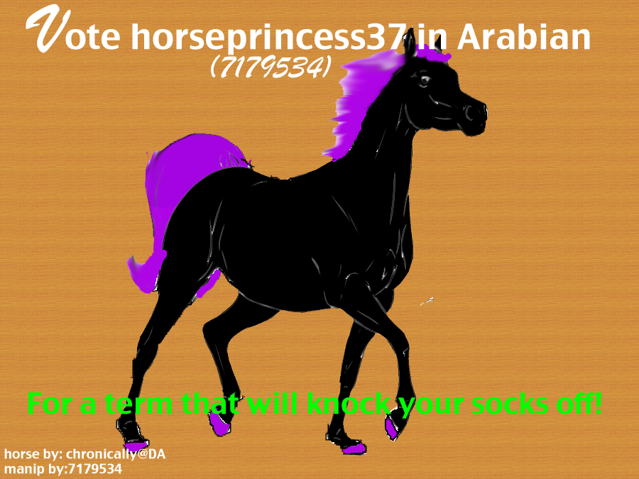 ATTENTION ALL HORSELAND PLAYER