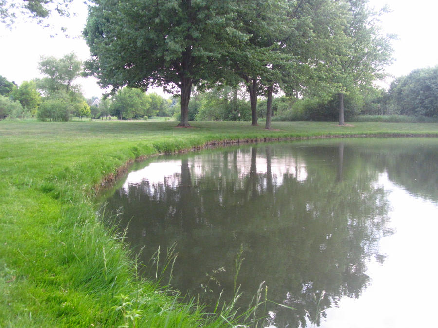 Pond Stock
