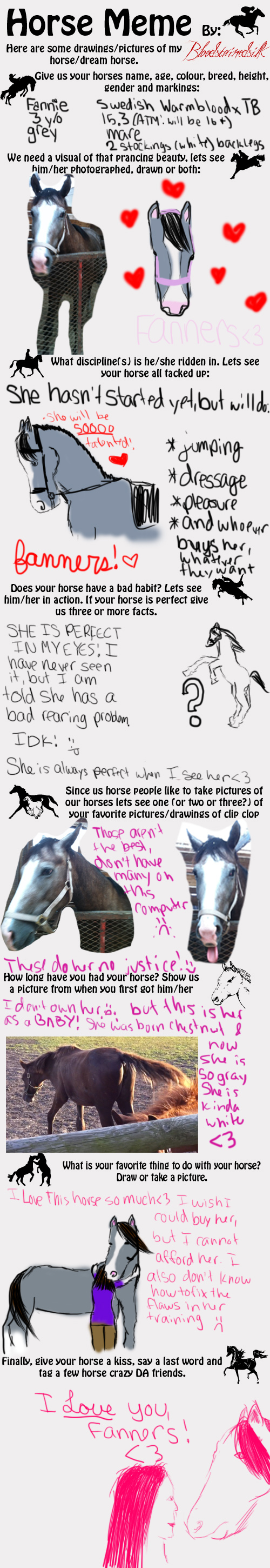 Horse meme