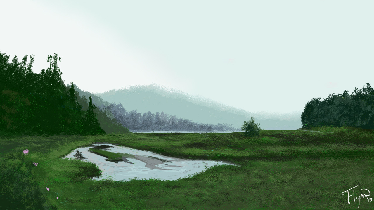 Forest Cloudy