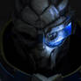 Garrus cosplay