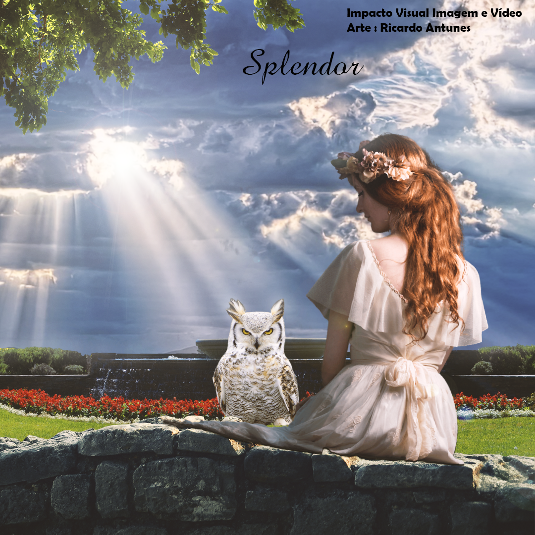 Splendor by RicardoImpactoVisual on DeviantArt