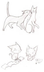 NaruSai: Cats by nohappiness