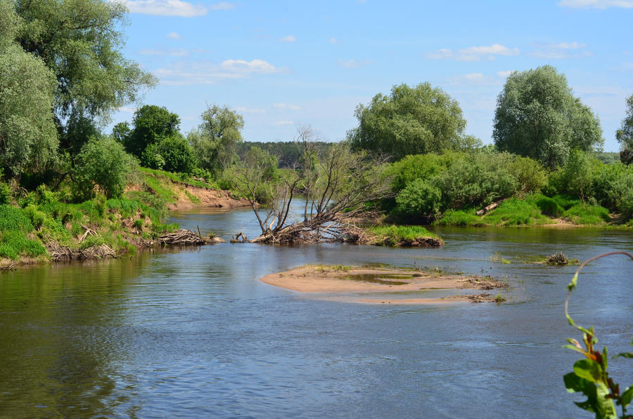 View of the River