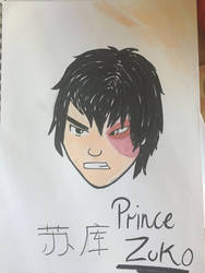 Prince Zuko from Avatar the Last Airbender 