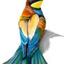 European bee eater