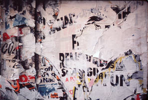 The Walls of Argentina 3