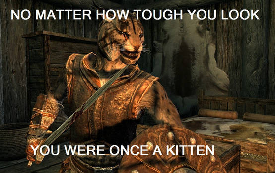 Skyrim Kittehz