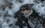 Gray anguish ice shards covered the soul of restle by FeurigenSatan