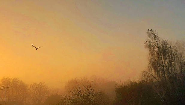 Morning mist 140223a