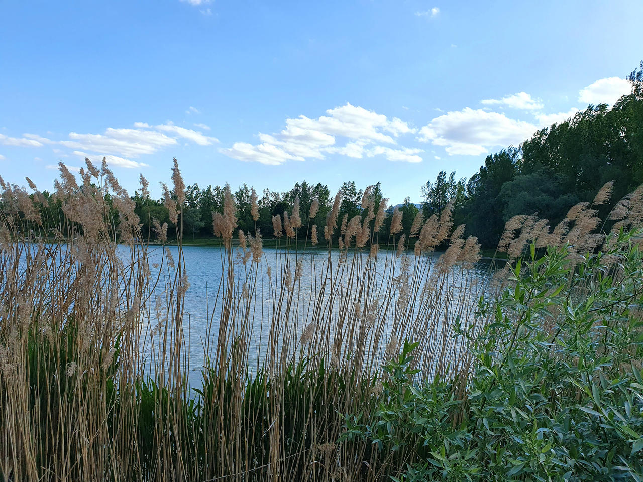 Around the Lake 9