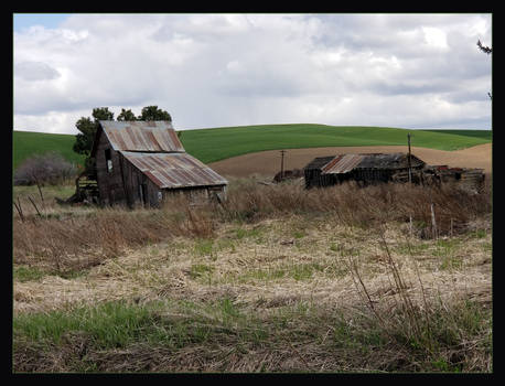 Abandoned Farm