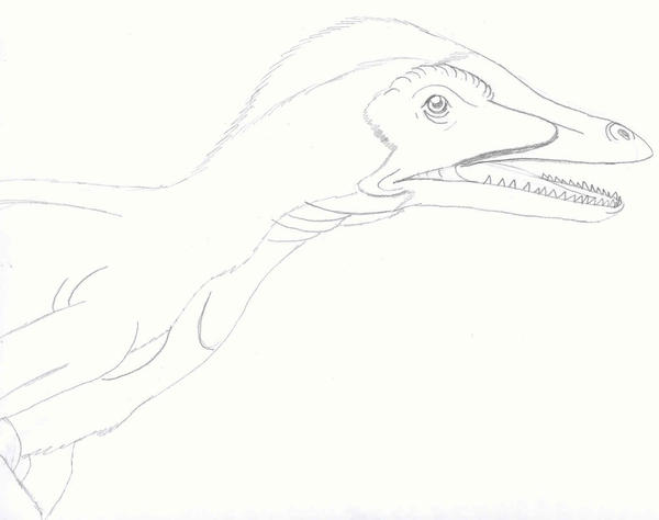 Pouncing Raptor Outline Raptor by Rayquazadragon10 on DeviantArt