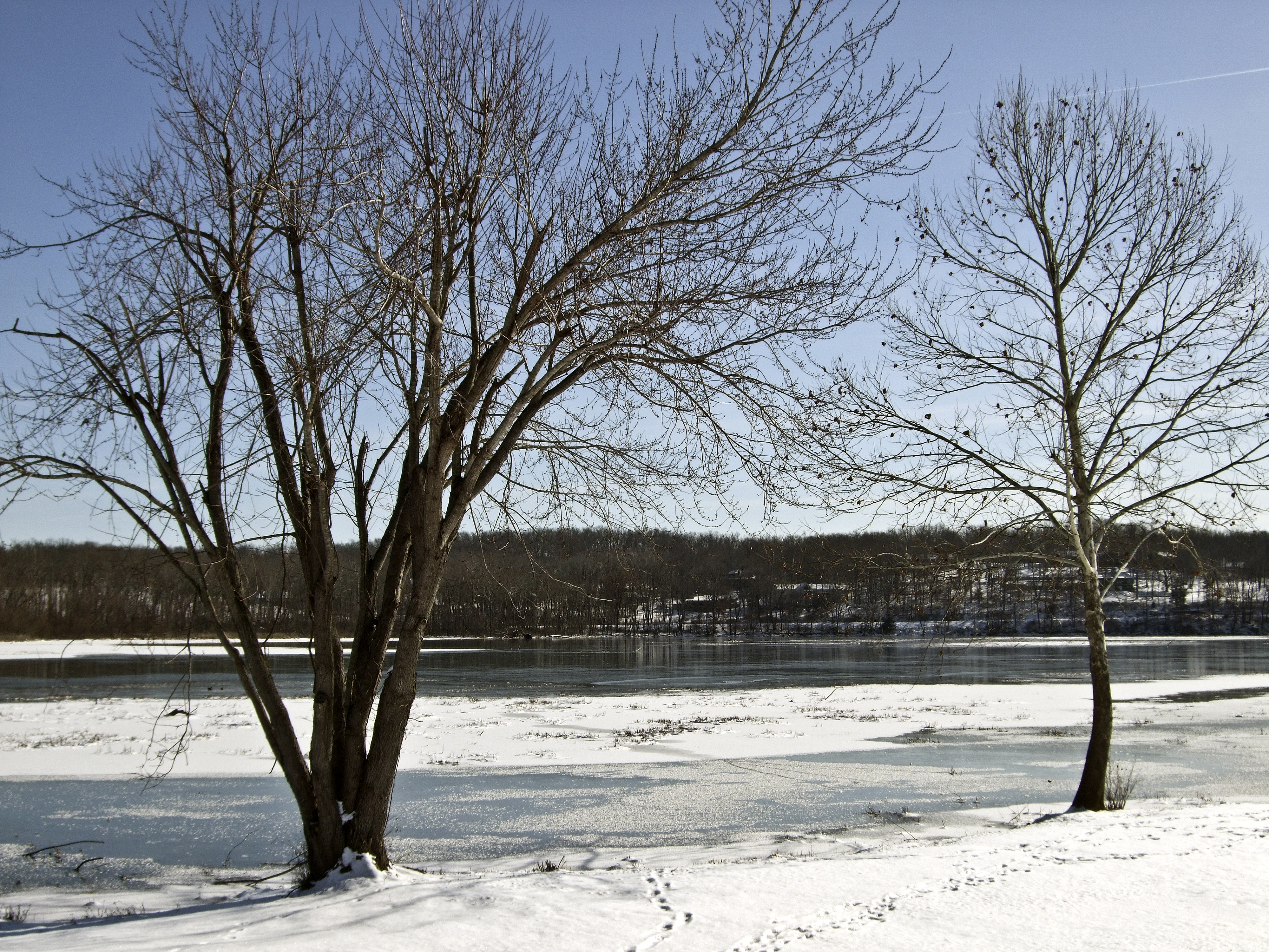 Winter Lake XII