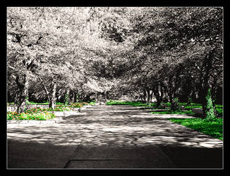 Courtyard Greens