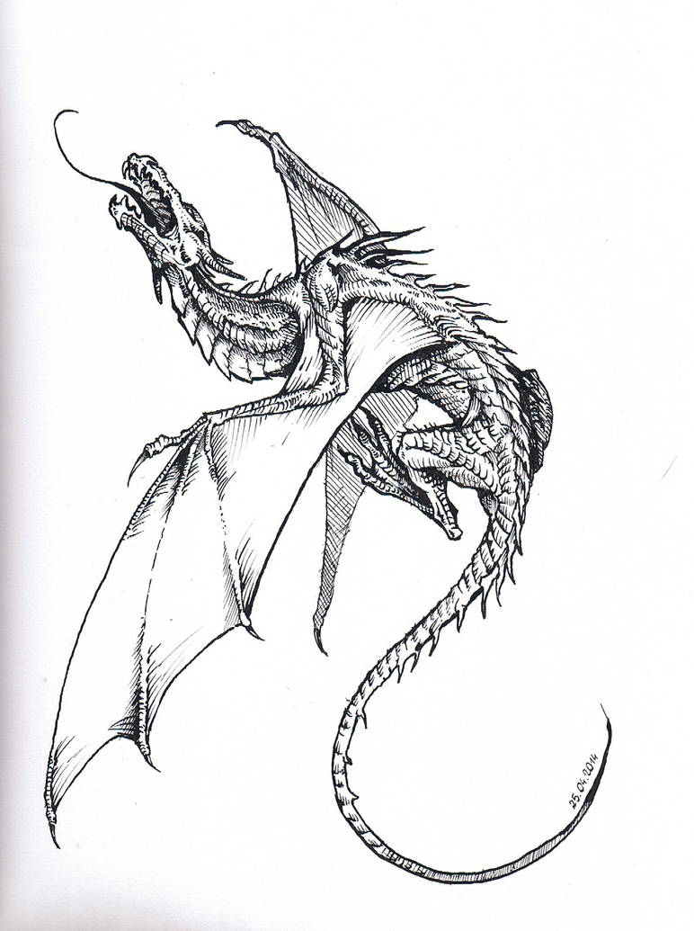 Dragon Ink Drawing Reference Dragon (ink) by VforVinegrette on DeviantArt