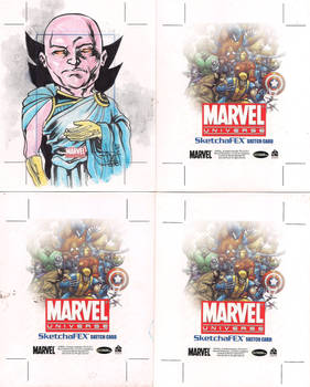 MARVEL UNIVERSE 2011 085