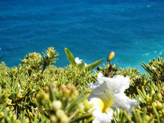 2013.4.7 (4) - Sun bathing upon a cliff