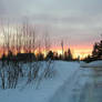 Sunset in Winter 2