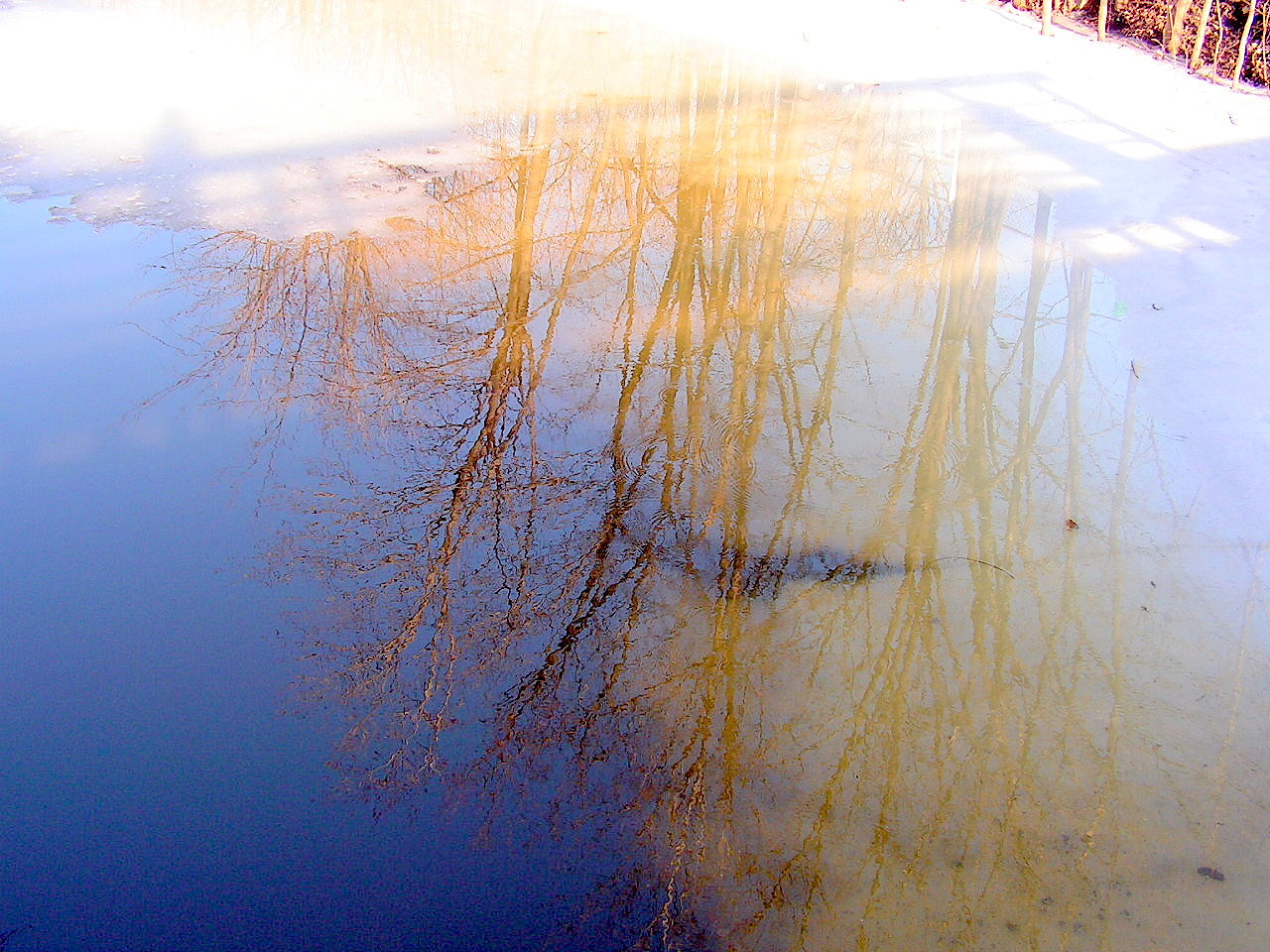 Reflection on Ice