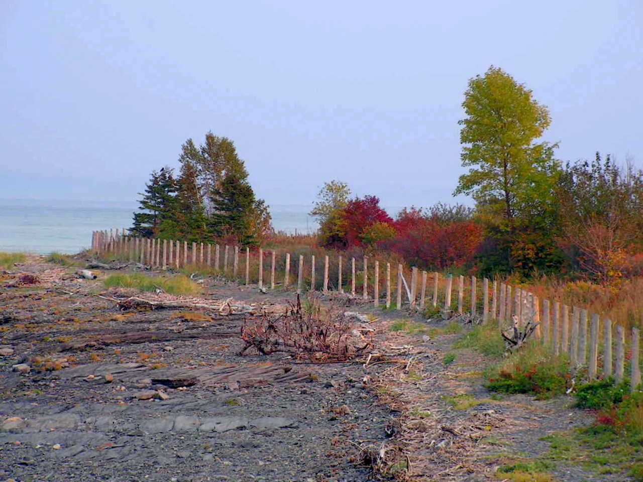 Autumn Colors at My Wild Beach