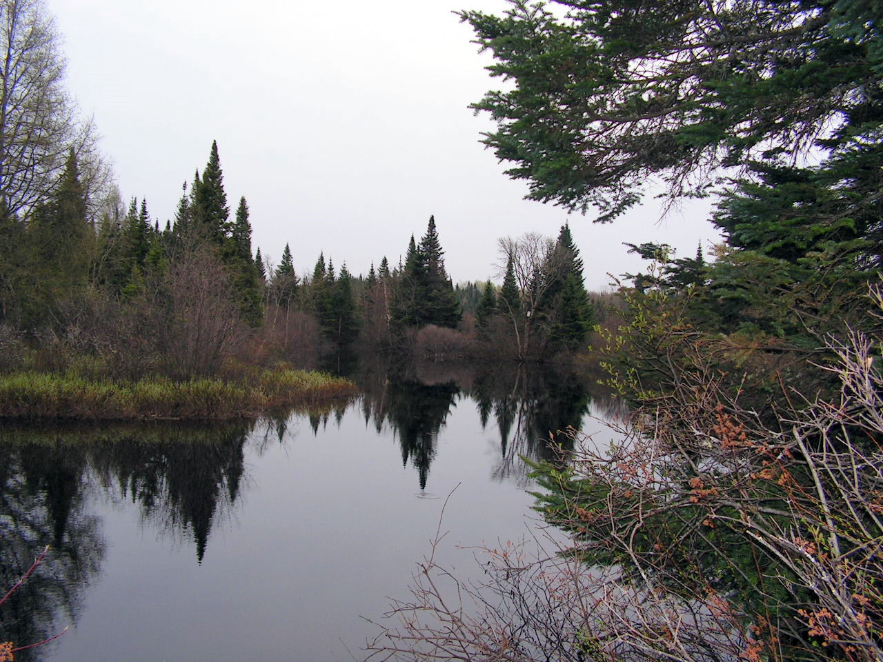 Peaceful Stream in Spring 02