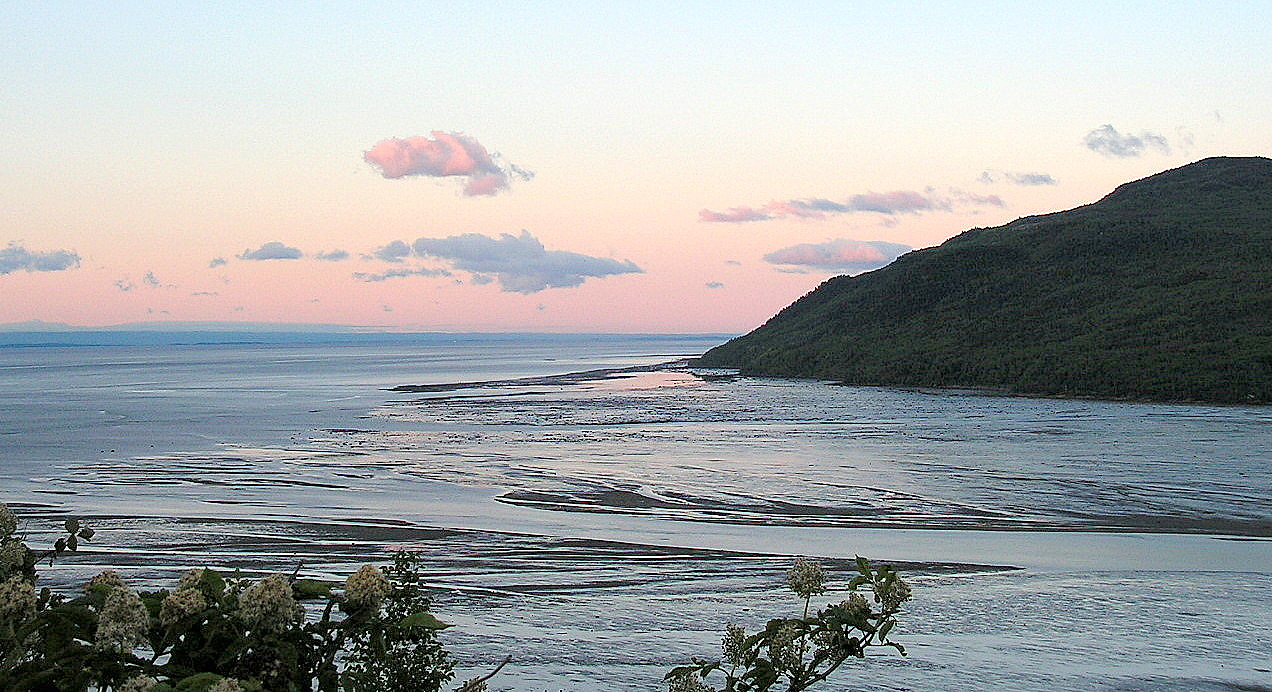 Low Tide at Sunrise