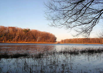 Late Fall by the River