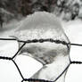 Icy Fence - close-up