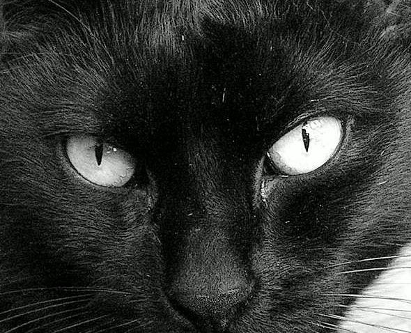 Poupi's Eyes - BW