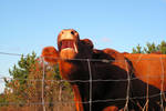 Is she yelling at me? by JocelyneR