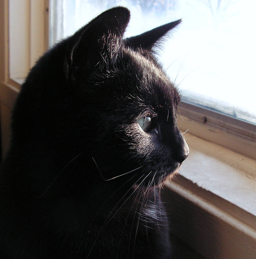 Lost In Thoughts. by JocelyneR